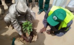 Tchad : 3000 pépinières offertes aux associations pour la lutte contre le désert à Mao