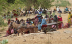 Réfugiés soudanais au Tchad : la faim menace leur survie