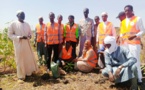 Tchad : l'AJVH poursuit son initiative "Opération Un Million d'Arbres" à la ceinture verte
