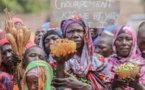 Tchad : infrastructures, eau potable et chômage, les défis des habitants du Mandoul