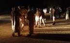 Tchad : un vol de chameaux tourne à la violence au Guera, plusieurs morts et des blessés