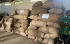 Cameroun : le pays atteint un nouveau prix record de 2015 FCFA le kilogramme de cacao