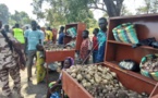 Tchad : l’ONG Direct Aid et l’Agence Kwotien favorisent le développement local à Korowolo