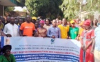 Tchad : les Comités de veille du Logone Occidental formés sur l'assurance indicielle