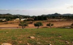Tchad : deux hommes tués dans une attaque près d'Addé au Sila