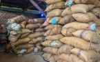 Cameroun : le kilogramme de cacao vient d’atteindre le prix de 2050 FCFA