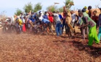 Tchad: Défi majeur pour les agriculteurs du Guéra cette année, marquée par une récolte particulièrement faible.