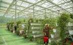 China sees bright prospects in green development