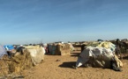 Situation de Réfugiés soudanais au Tchad : Le CEDPE lance un plaidoyer auprès des institutions arabes et musulmanes