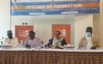 Tchad : Formation des membres des comités de veille cantonaux de lutte contre les VBGs