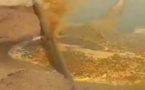 Tchad : déversement accidentel de pétrole brut contenu dans le pipeline de Sédigui-Djarmaya