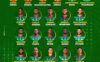 Cameroun : Voici les 27 Lions Indomptables pour la CAN 2023, sans Choupo Moting