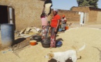 Tchad : Ngarhota Carine joint les deux bouts grâce au commerce de courge à Moundou