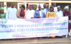 Tchad : DHSF encourage la participation citoyenne des femmes et des jeunes au processus électoral