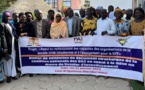 Tchad : la CELlAF et l'OSC organisent un atelier de validation en vue du dossier d’investissement