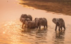 Cameroun : Au moins trois personne tuées à Afadé dans le Lac Tchad par des éléments