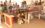 Tchad : clôture de la SENAFET et commémoration de la JIF au Kanem