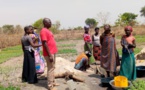 Lutte contre la pauvreté au Tchad : L'agriculture maraîchère par les femmes à Kairati