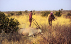 Botswana : le président s'oppose à l'interdiction de la chasse pour les touristes
