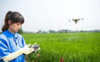 Smart farming blooms on Chengdu plain