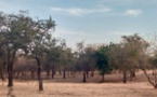 Tchad : Un véhicule de transport attaqué par des coupeurs de route près d’Am-Timan