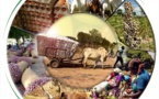 Cameroun : Garoua accueille le salon sous-régional des industries et techniques agro-pastorales