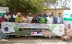 Tchad : Atelier de protocole de recherche en santé tenu à N'Djamena