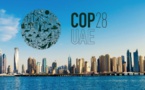 Le président de la COP28 reçoit le premier « Global Energy Transition Impact Award » du Conseil mondial de l'énergie