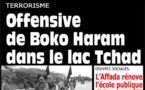 Boko Haram tente d'affaiblir une force multinationale en gestation