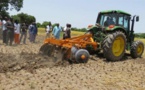 Tchad : Inquiétudes autour de la campagne agricole au Salamat