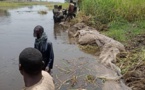 La FMM salue l'implication des communautés du Lac Tchad dans l'opération Lake Sanity II