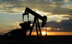 La baisse des revenus pétroliers pousse les producteurs à revoir les prix à la pompe