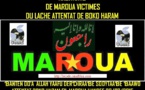 Attentats du mercredi 22 juillet 2015 à Maroua : Le Code s’en prend à Paul Biya 