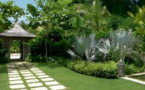 Cameroun : une agence de jardinage moderne promeut la protection de l’environnement