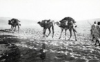 La mystérieuse route caravanière de Gabès, en Tunisie à Nguigmi, au Tchad