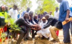 Tchad : CREPE-Tchad œuvre pour la protection de l'environnement