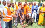 Tchad : Journée mondiale de l'environnement, l'association JVH met des plans sous terre à N'Djamena