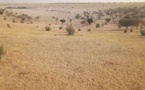 Ceinture verte au Tchad: Bilan et perspectives d'une initiative prometteuse