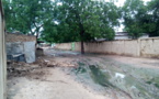 Tchad : probables manifestations pluvio-orageuses dans plusieurs provinces ce jour (ANAM)
