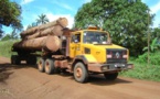 Cameroun/ redevance forestière : les élus contestent la répartition