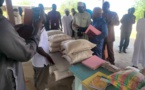 Tchad : La Fédération des producteurs du Lac ambitionne une production record
