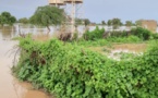 Tchad - Tragédie à Raguidé : Une famille emportée par les eaux