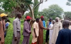 Tchad -  La Tandjile face à la menace des éléphants : Le Gouverneur assure le soutien du gouvernement