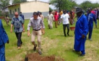 Tchad : Des milliers d'arbres plantés pour freiner l'avancée du désert