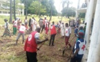 Tchad : la Croix-Rouge assiste des sinistres d’inondations à Sarh