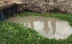 Inondations au Tchad : Les eaux stagnantes et insalubres augmentent le risque de maladies