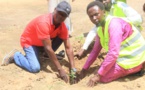 Tchad - Dar Alkher : Un souffle de vie pour le Batha à l'occasion de la Semaine Nationale de l'Arbre