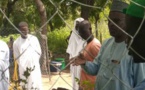 Tchad : 1000 plantes remises à la Délégation provinciale de l'Environnement du Lac