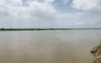 Inondations au Tchad : le bilan monte à 487 décès et 199 300 habitations détruites (OMS)