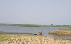Tchad : impudicité, une pratique choquante au fleuve Chari